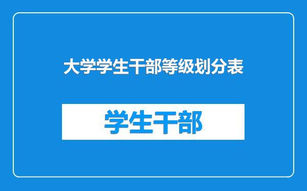 大学学生干部等级划分表