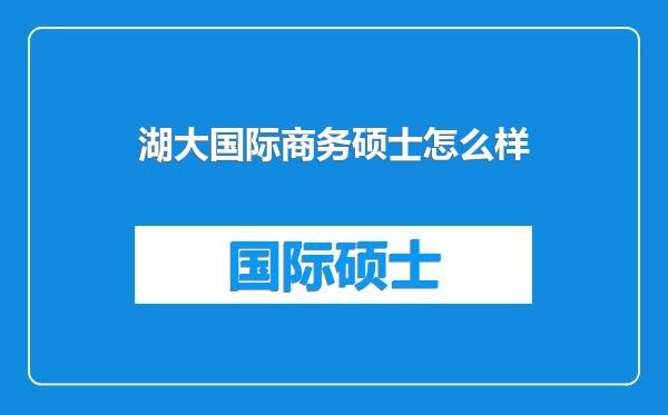 湖大国际商务硕士怎么样