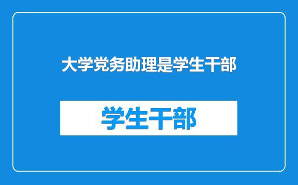 大学党务助理是学生干部