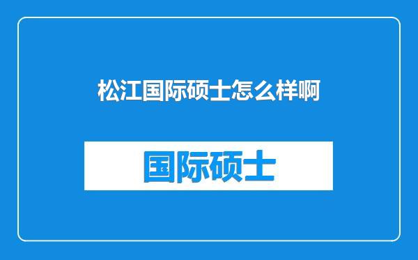 松江国际硕士怎么样啊