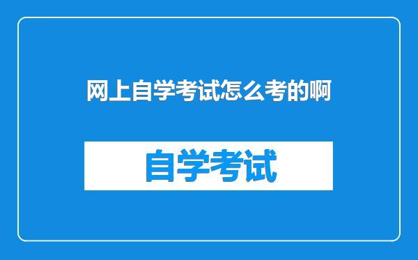 网上自学考试怎么考的啊