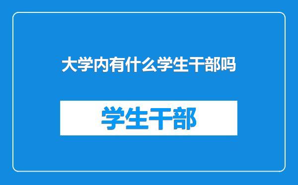 大学内有什么学生干部吗