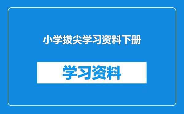 小学拔尖学习资料下册