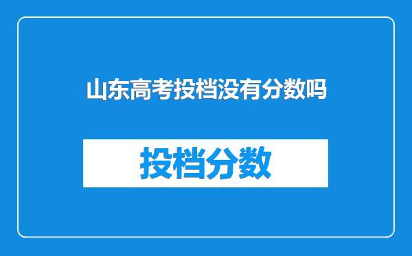 山东高考投档没有分数吗