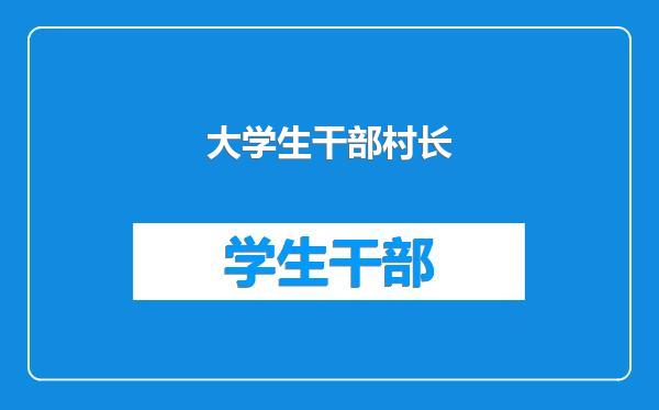 大学生干部村长