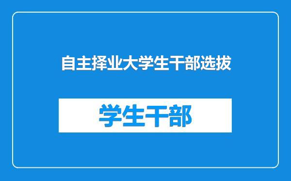 自主择业大学生干部选拔