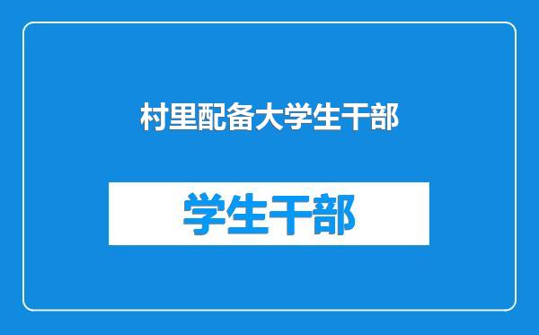 村里配备大学生干部