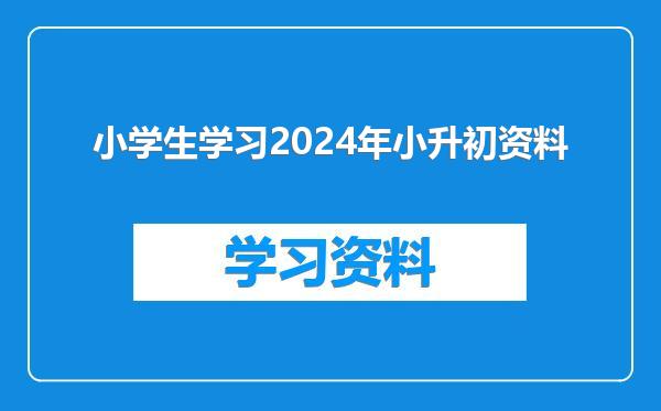 小学生学习2024年小升初资料