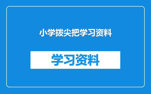 小学拨尖把学习资料