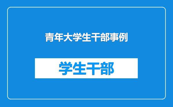 青年大学生干部事例