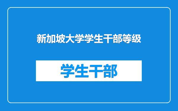 新加坡大学学生干部等级