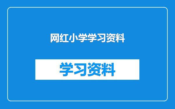 网红小学学习资料