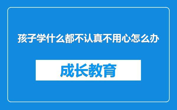 孩子学什么都不认真不用心怎么办