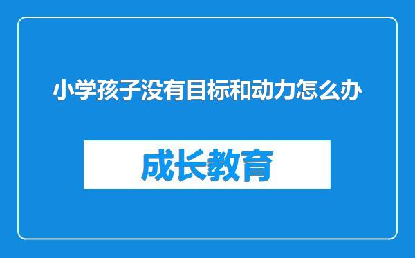 小学孩子没有目标和动力怎么办