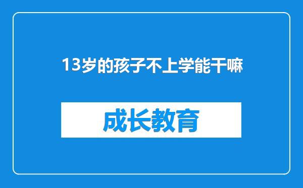 13岁的孩子不上学能干嘛