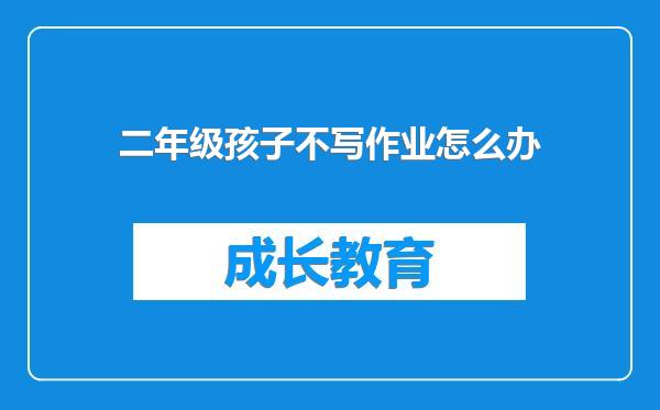 二年级孩子不写作业怎么办