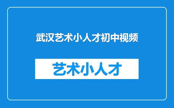 武汉艺术小人才初中视频