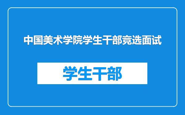 中国美术学院学生干部竞选面试