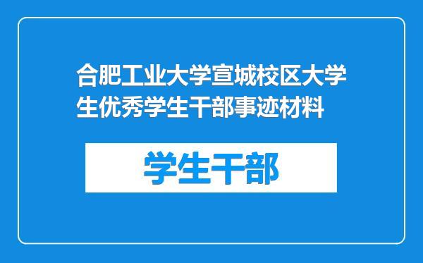 合肥工业大学宣城校区大学生优秀学生干部事迹材料