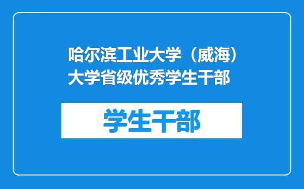 哈尔滨工业大学（威海）大学省级优秀学生干部