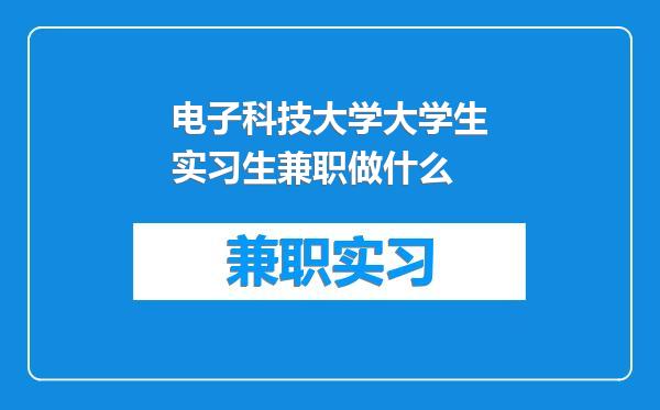 电子科技大学大学生实习生兼职做什么