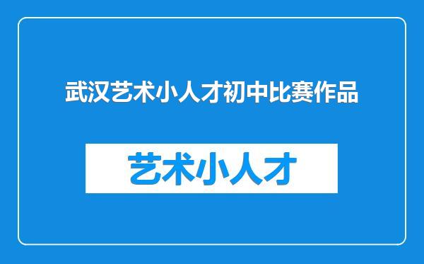 武汉艺术小人才初中比赛作品