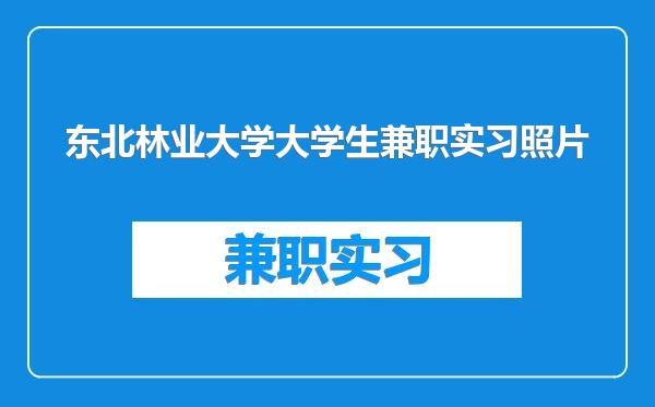 东北林业大学大学生兼职实习照片