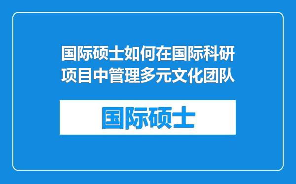 国际硕士如何在国际科研项目中管理多元文化团队