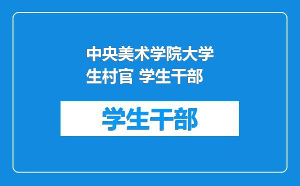 中央美术学院大学生村官 学生干部