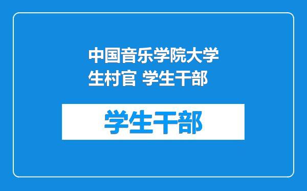 中国音乐学院大学生村官 学生干部